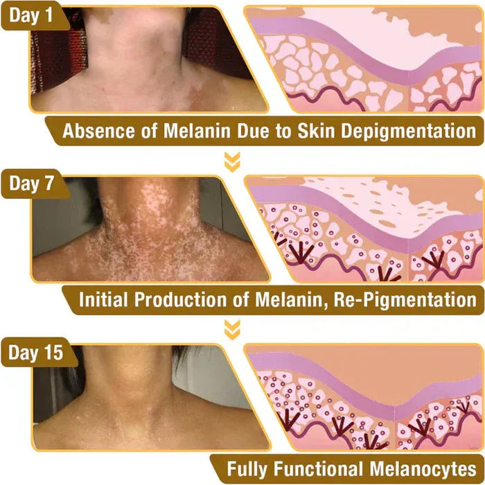 New Revitalizing Bee Venom Cream – Natural Skin Restoration & Vitality