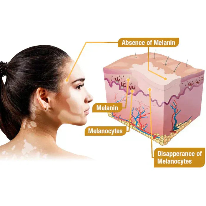 New Revitalizing Bee Venom Cream – Natural Skin Restoration & Vitality