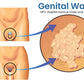 Herbal Genital Skin Treatment Cream✅ Revolutionary Natural Solution for Genital Wart Treatment!